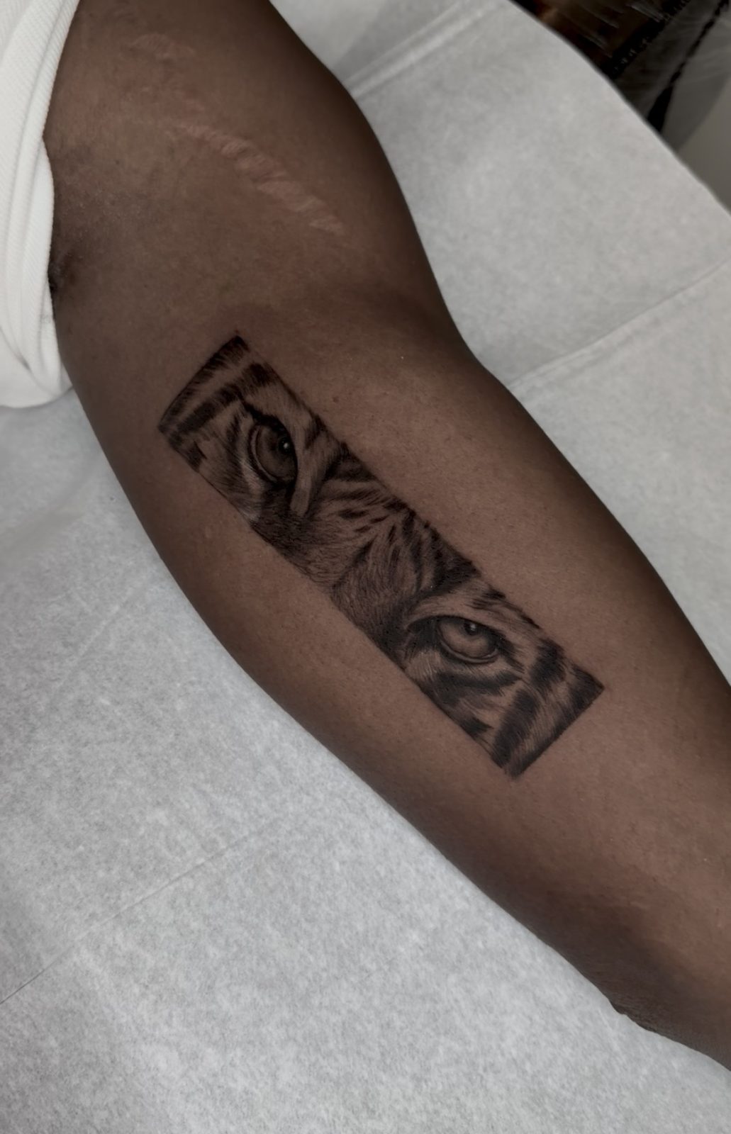 La mirada del tigre | Realismo - Tatuaje en Punta Cana